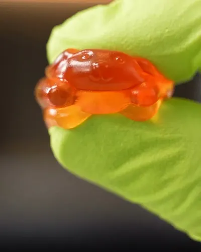 Orange Electrolyte Gummies