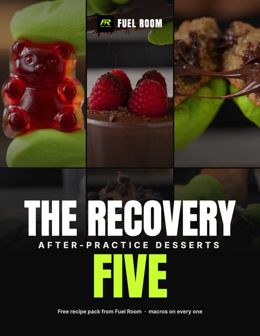 The Recovery 5 PDF cover